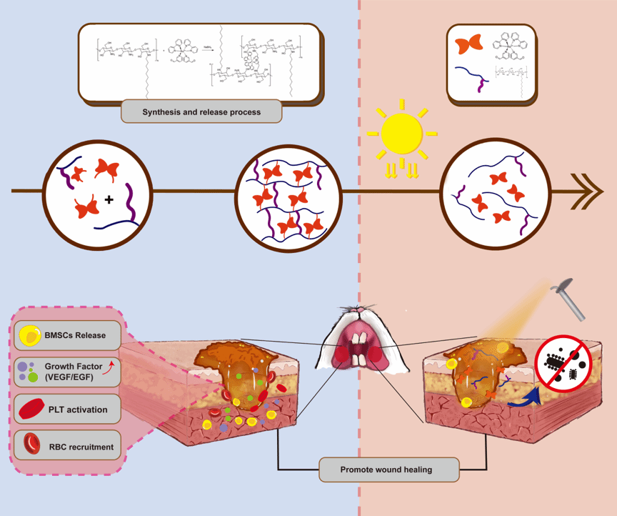 赵院长新闻稿图片 1.png