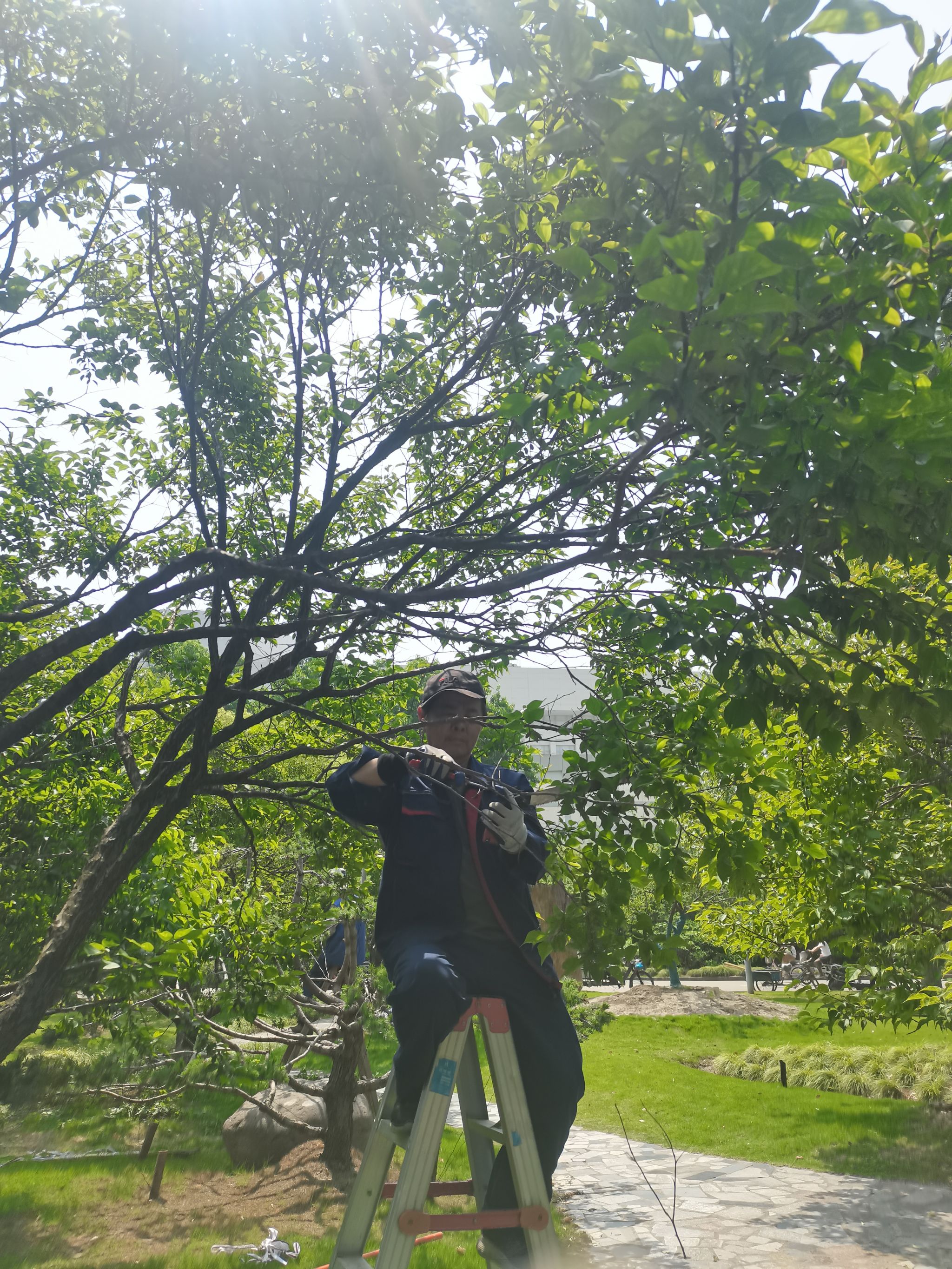 f246ec3e849e9ed37fc3ddf40707a8c.jpg f246ec3e849e9ed37fc3ddf40707a8c.jpg